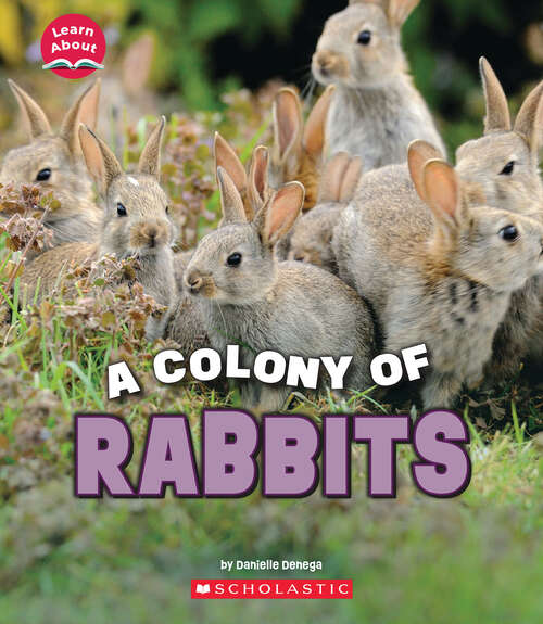 Book cover of A Colony of Rabbits (Learn About)