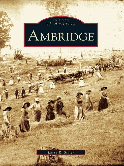 Book cover of Ambridge