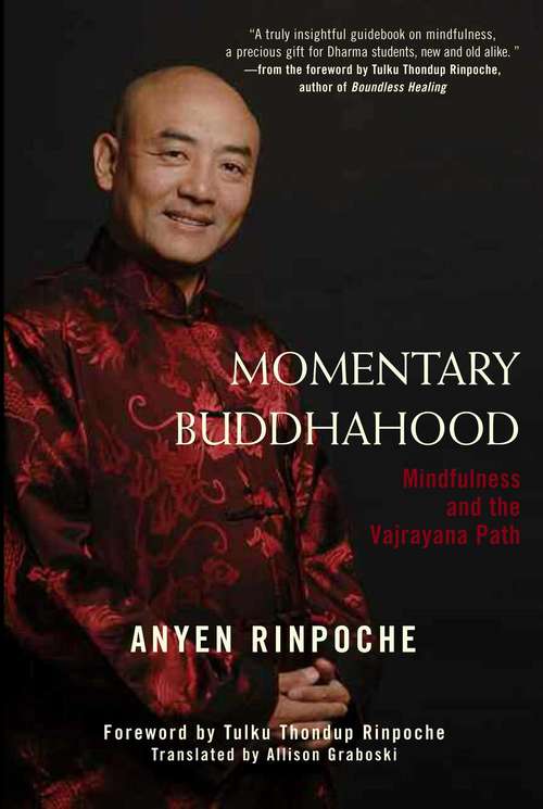 Book cover of Momentary Buddhahood