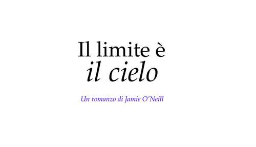 Book cover of Il Limite è il Cielo: Una commedia romantica ambientata nel mondo degli assistenti di volo