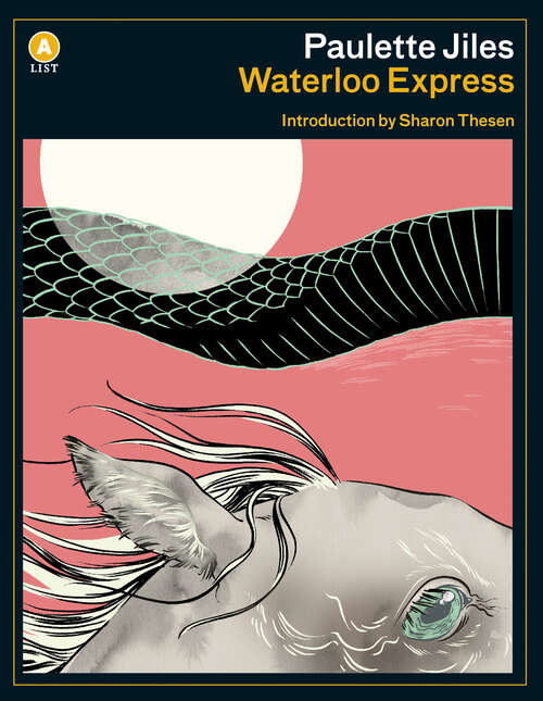 Book cover of Waterloo Express (A List)
