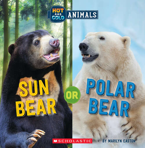 Book cover of Sun Bear or Polar Bear: Wild World (Hot and Cold Animals)