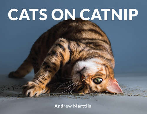 Book cover of Cats on Catnip