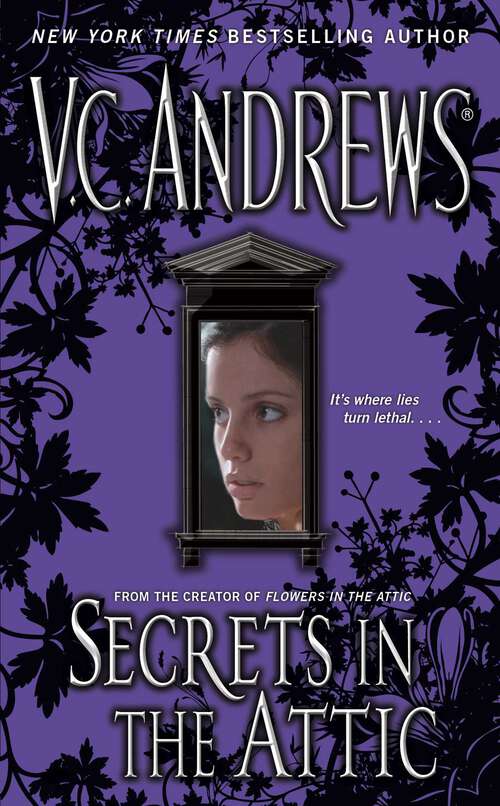 Book cover of Secrets in the Attic (The Secrets Series #1)