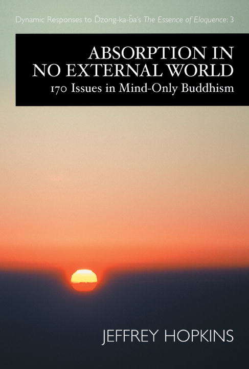 Absorption in No External World: 170 Issues in Mind-Only Buddhism