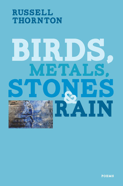 Book cover of Birds, Metals, Stones and Rain
