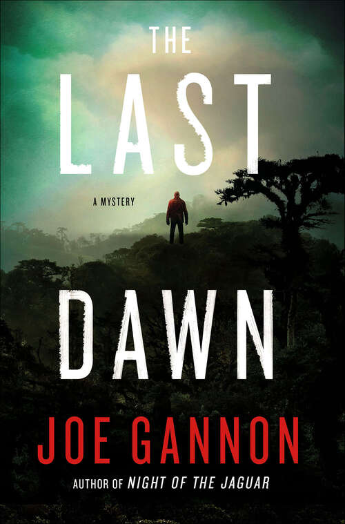 Book cover of The Last Dawn: A Mystery