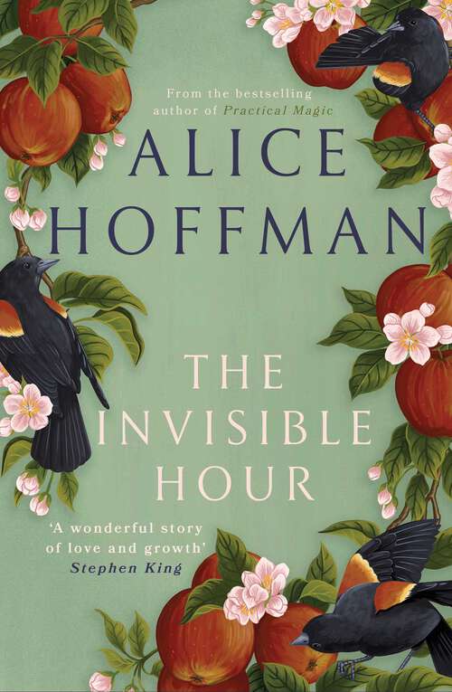 Book cover of The Invisible Hour