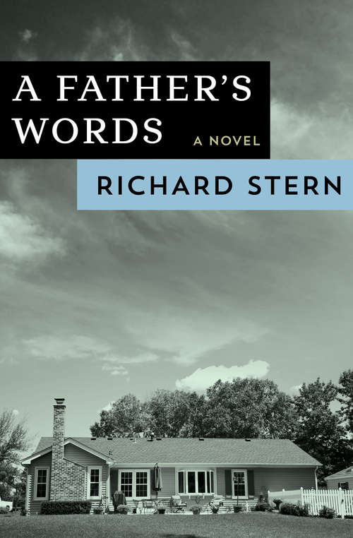Book cover of A Father's Words: A Novel (Phoenix Fiction Ser.)
