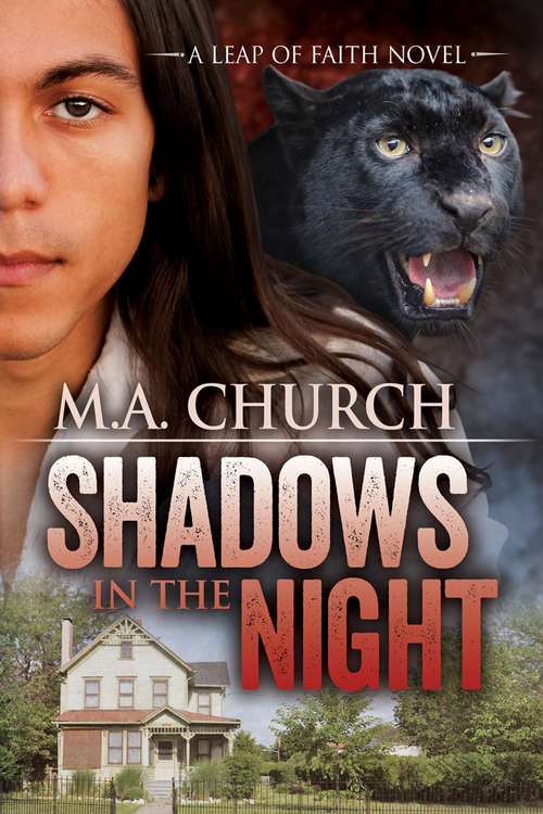Shadows in the Night (Leap of Faith #1)
