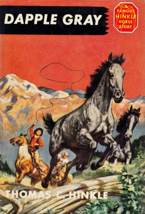 Book cover of Dapple Gray: The Story of a Great Horse