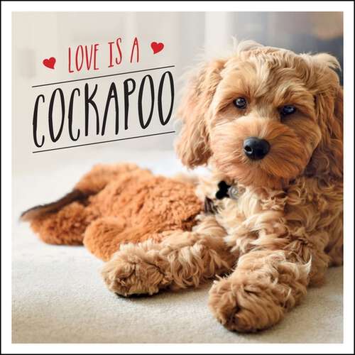 Book cover of Love is a Cockapoo: A Dog-Tastic Celebration of the World's Cutest Breed