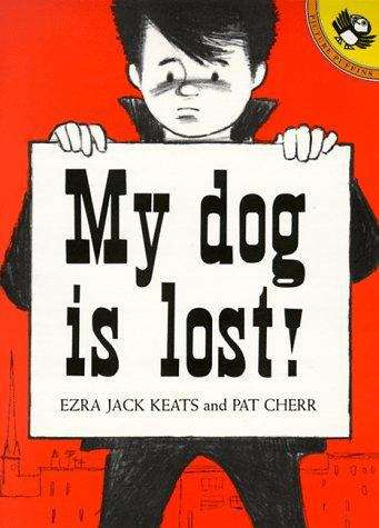 Book cover of My Dog Is Lost