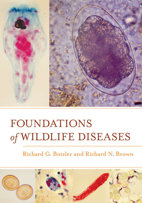 Book cover of Foundations of Wildlife Diseases