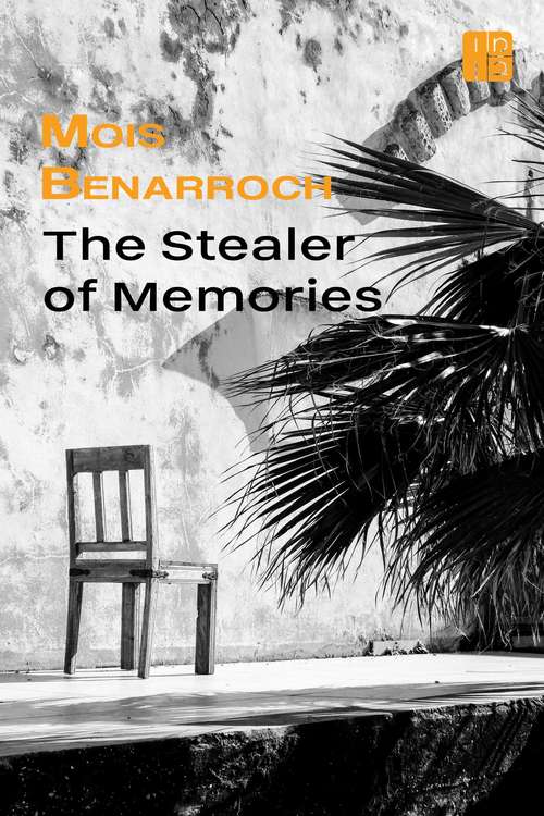 Book cover of The Stealer of Memories