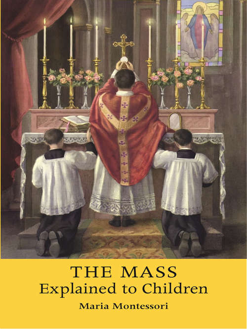Book cover of The Mass Explained to Children