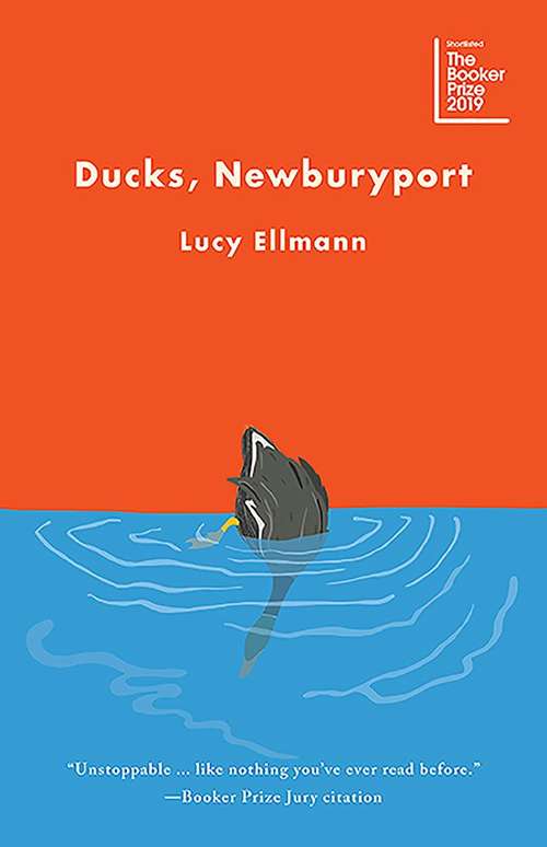 Book cover of Ducks, Newburyport