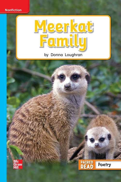 Book cover of Meerkat Family [On Level, Grade 1]