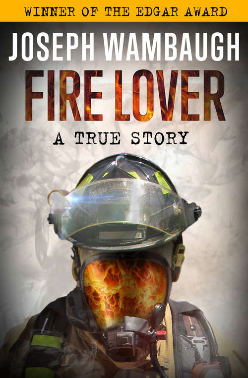 Book cover of Fire Lover: A True Story (Basic Ser.)