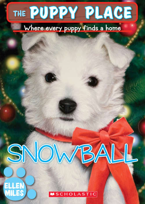 Book cover of The Puppy Place #2: Snowball