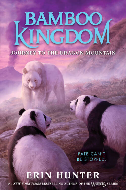Book cover of Bamboo Kingdom #3: Journey to the Dragon Mountain (Bamboo Kingdom #3)