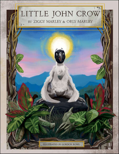 Book cover of Little John Crow