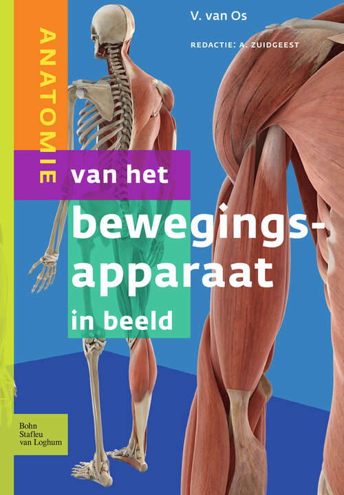 Book cover of Anatomie van het bewegingsapparaat in beeld
