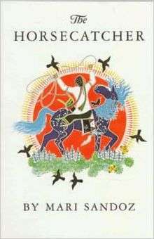 Book cover of The Horsecatcher