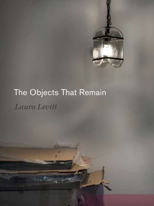 Book cover of The Objects That Remain (Dimyonot: Jews and the Cultural Imagination #11)