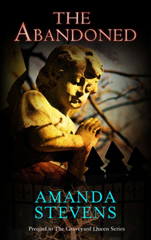 Book cover of The Abandoned (The Graveyard Queen #4)