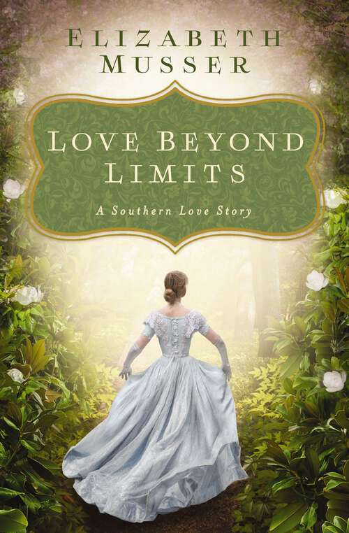 Book cover of Love Beyond Limits