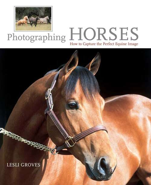Book cover of Photographing Horses: How To Capture The Perfect Equine Image (1st Edition)