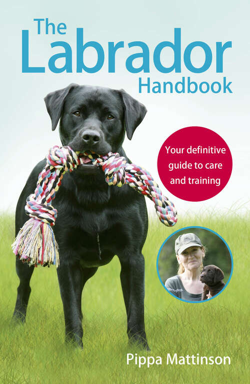 Book cover of The Labrador Handbook: The definitive guide to training and caring for your Labrador