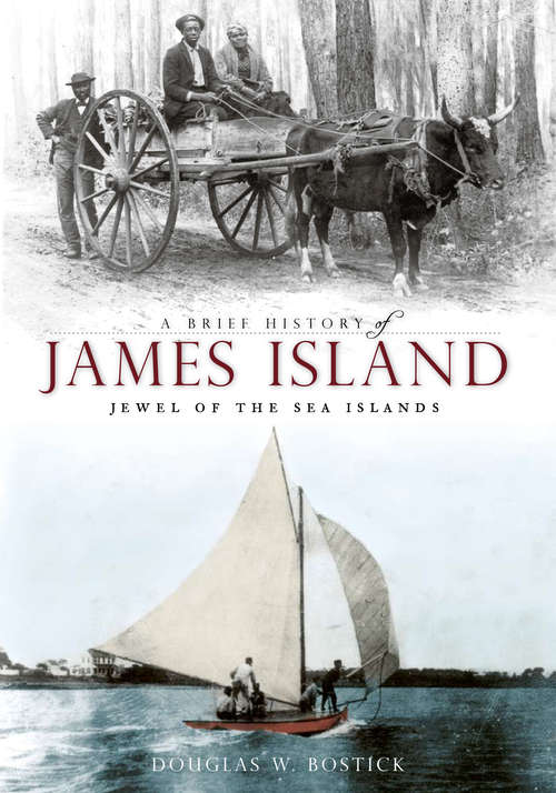 Book cover of A Brief History of James Island: Jewel of the Sea Islands