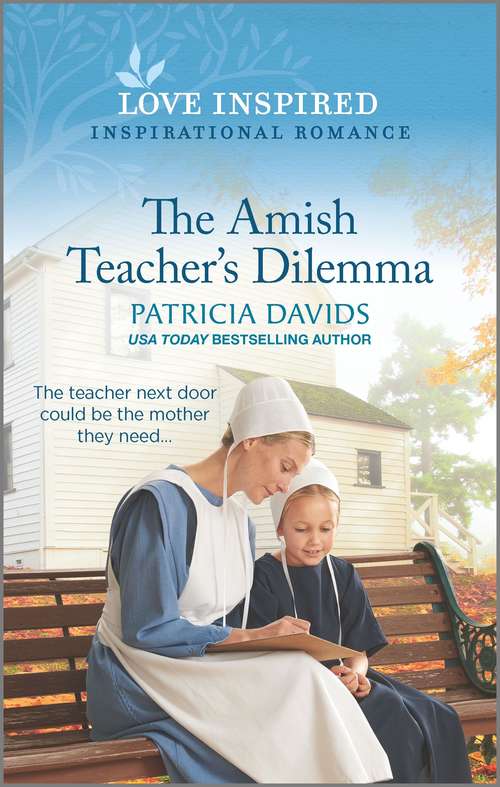 The Amish Teacher's Dilemma (North Country Amish #2)