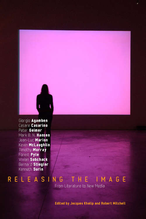 Book cover of Releasing the Image