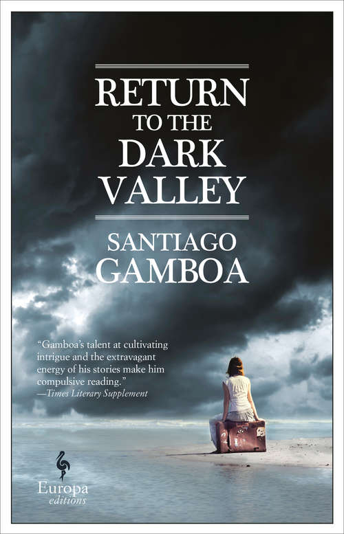 Book cover of Return to the Dark Valley