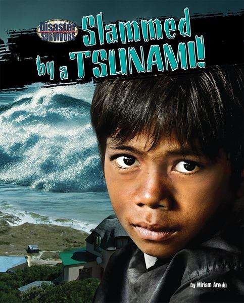 Book cover of Disaster Survivors: Slammed By A Tsunami!