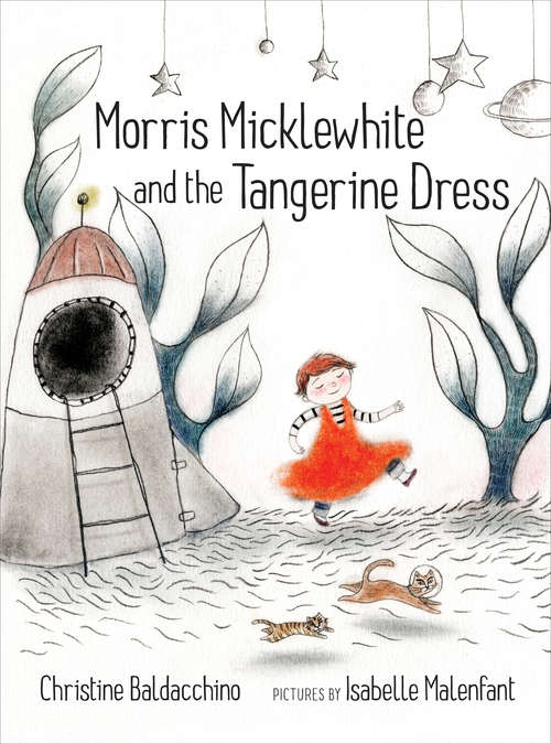 Book cover of Morris Micklewhite and the Tangerine Dress