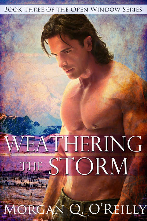Book cover of Weathering the Storm