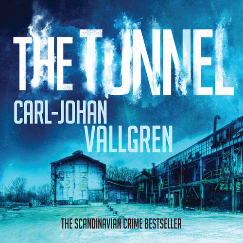 Book cover of The Tunnel: Danny Katz Thriller (2)