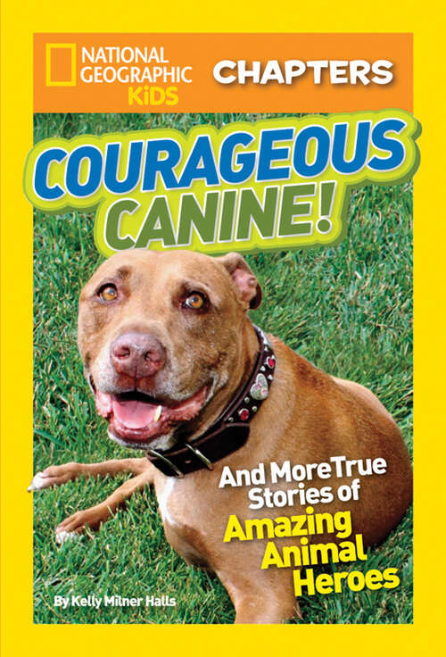 Book cover of National Geographic Kids Chapters: And More True Stories of Amazing Animal Heroes (NGK Chapters)