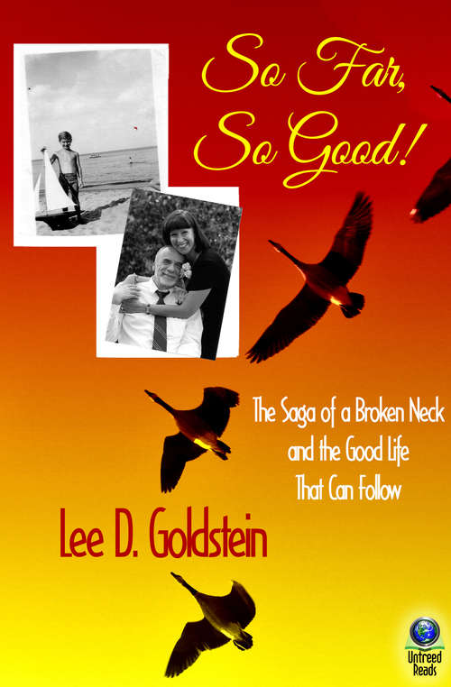 Book cover of So Far, So Good!: The Saga of a Broken Neck, and the Good Life that Can Follow