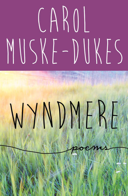 Book cover of Wyndmere