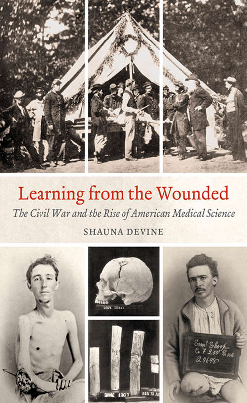 Book cover of Learning from the Wounded