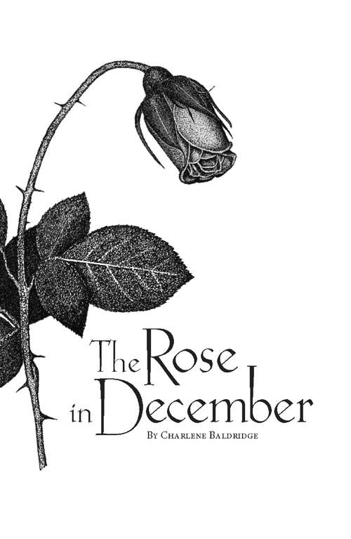 Book cover of The Rose In December