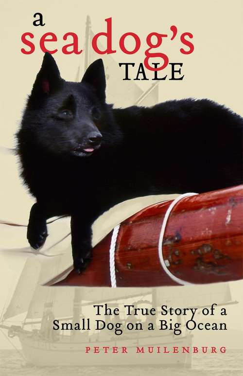 Book cover of A Sea Dog's Tale: The True Story of a Small Dog on a Big Ocean