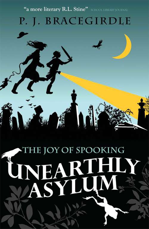 Book cover of The Joy of Spooking: Unearthly Asylum