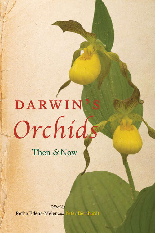 Book cover of Darwin's Orchids: Then & Now