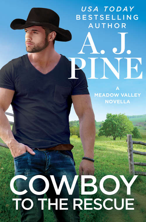 Cowboy to the Rescue (Meadow Valley)